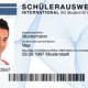 Fake Schülerausweis